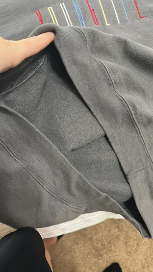 YoungLife Gildan Sharptop Crewneck thumbnail 3