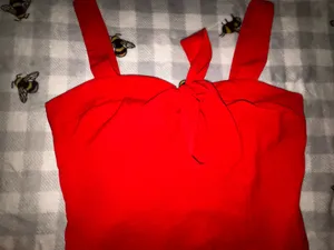 Sienna Sky. New with Tags Red and white plaid crop top. thumbnail 2