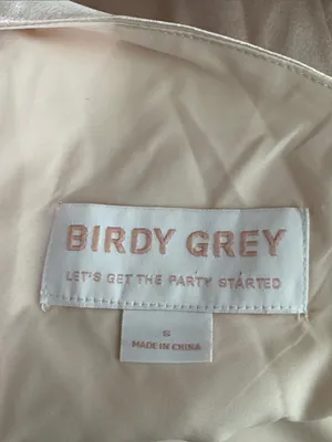 Birdy Grey Bridesmaid Catherine Shiny Strapped Maxi Dress in Champagne size S thumbnail 12