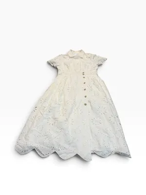 MAEVE eyelet shirt dress nwt thumbnail 2