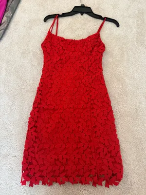 Bardot Red Lace Dress thumbnail 3