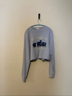 Brandy Melville x John Galt Yosemite Cropped Thick‎ Long Sleeve One Size thumbnail 2