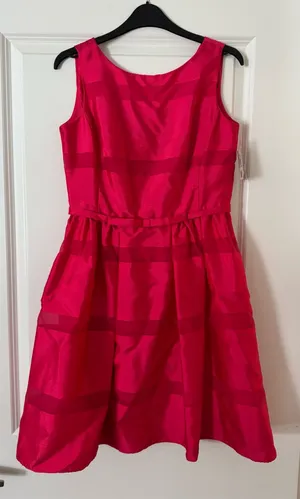 Fuscia Dress Red Size 4 thumbnail 1