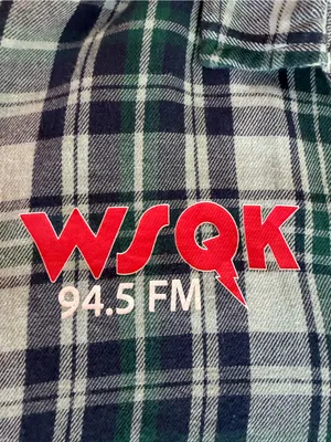 Stranger Things Hawkins Hitmaker WJQK Plaid Flannel Shirt Women’s S 4-6 thumbnail 7