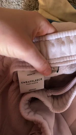 Cargo Aritzia Sweatpants thumbnail 3