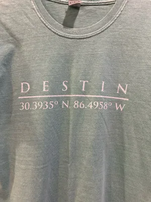 Comfort Colors Gildan Destin Florida Short Sleeve Logo Tee thumbnail 3