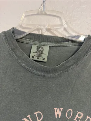 TikTok viral shirt Kind Words are like Honey comfort colors thumbnail 2