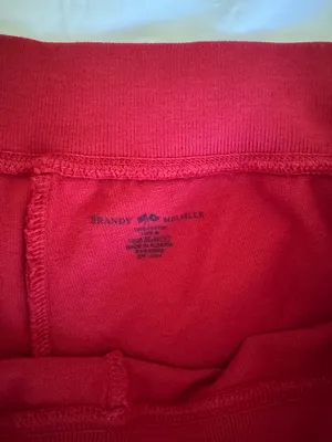 Brandy Melville shorts thumbnail 2