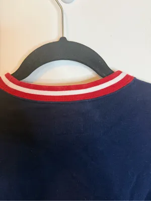 Polo Ralph Lauren 2022 Olympics Team USA Polo Bear Sweatshirt thumbnail 8