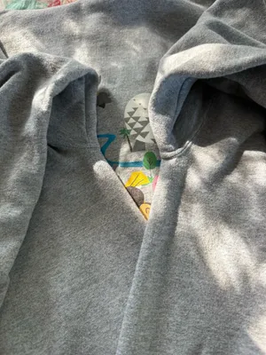 Disney World Zip-Up Hoodie thumbnail 3