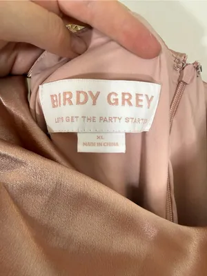 NWT Birdy Grey Lydia Bridesmaid Maxi Dress Shiny Satin Rose Gold Pink XL thumbnail 5