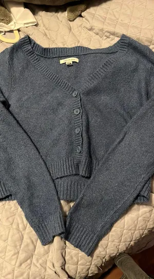 American Eagle Outfitters Cropped Sweater thumbnail 1