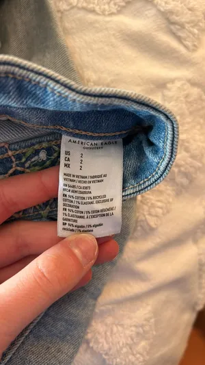 American eagle Jean shorts with flower embroidery thumbnail 4