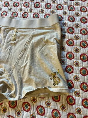 Aerie High Rise Grinch Christmas Dog Boy Shorts size large thumbnail 2
