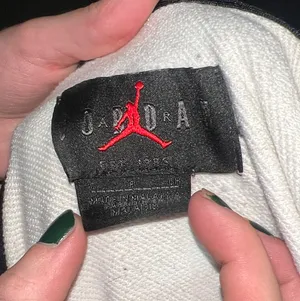Nike Air Jordan Hoodie thumbnail 3