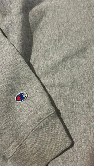 Champion Gray  Hoodie thumbnail 7