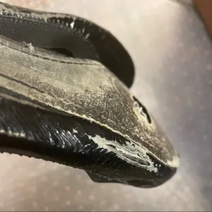 Tory Burch Patent Leather Ballet Flats 8.5 thumbnail 6