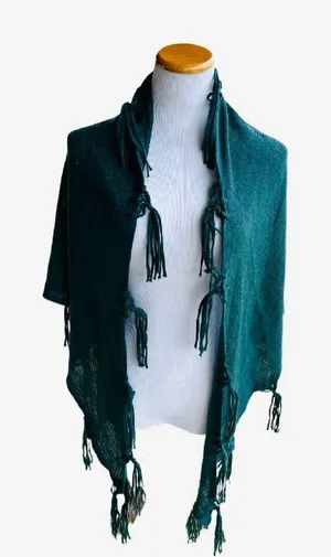 NWT Womens The Limited Fringe Tassel Shaw Scarf thumbnail 1