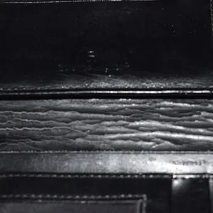 Aigner Wallet, Black, Lizard Embossed Leather thumbnail 7
