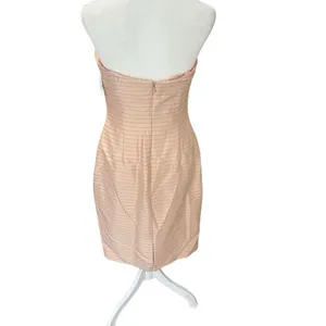 Kay Unger NWT Silk Strapless Ruched Blush Pinstripe Cocktail Dress Size 6 thumbnail 5