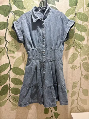 Velvet Heart Light Blue Denim Button-Front Dress thumbnail 1