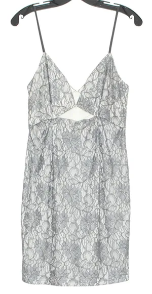 NWT Line and Dot Dress Floral Lace Minimalist Boho Romantic HOCO Glam Gray Large thumbnail 1