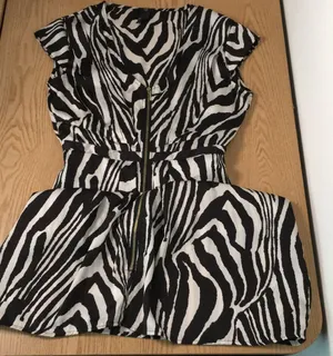 Womens H&M Black and White Satin Zebra Print Shirt Dress Size 6 thumbnail 1