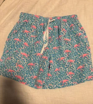 Chubbies Swim Trunks 5.5" S thumbnail 1