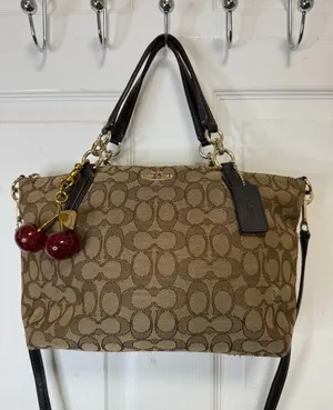 Coach Khaki/Brown Signature Canvas Shoulder Bag /Crossbody bag thumbnail 1