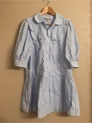 SANDY‎ LIANG x Target Gingham Shirtdress thumbnail 2