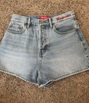 PacSun Budweiser Shorts thumbnail 1