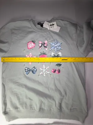 Light Mint Crewneck Sweater with Embellished Fruit & Snowflake Motifs thumbnail 4