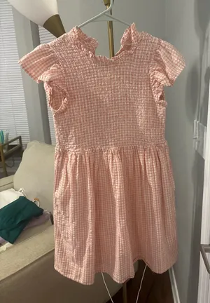 Time & Tru Pink Gingham Dress thumbnail 1