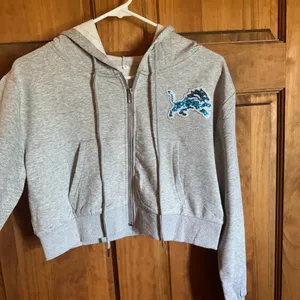 Detroit Lions sweatshirt! NFL gray sequin bedazzled logo hoodie size small! thumbnail 7