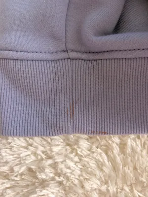 Carhartt Hoodie thumbnail 4