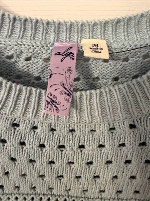 NWOT Francesca's Collections Pastel Blue Crochet-Textured Crew Sweater thumbnail 2