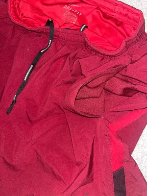 Nike Shorts thumbnail 3