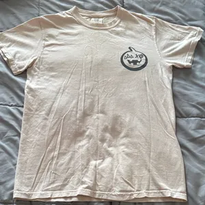 Comfort Colors Cream Cookies for a Cure Tri Delta & Chi Phi Sorority Graphic Tee thumbnail 1