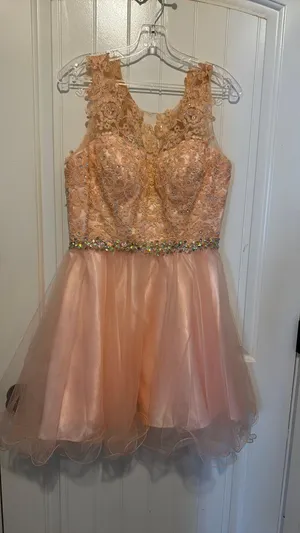 Elizabeth k By Glad Homecoming / Semi Dress thumbnail 1