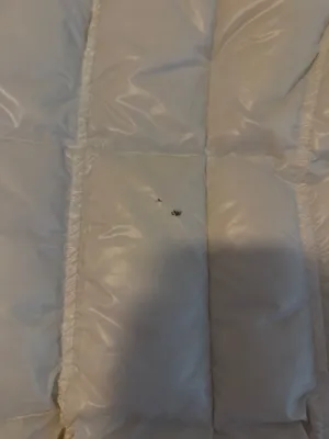 Sam New York Jacket White Size M thumbnail 4