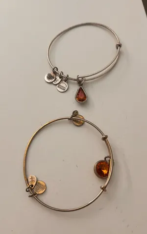 Alex and Ani Bracelet Bangle thumbnail 1