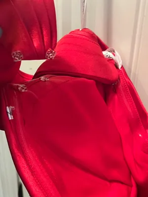 Red Rachel Allan 40433 Homecoming Dress Size 12 thumbnail 2