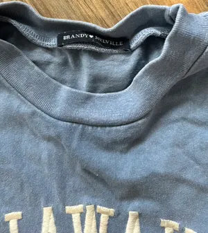 Brandy Melville Crop Top thumbnail 3
