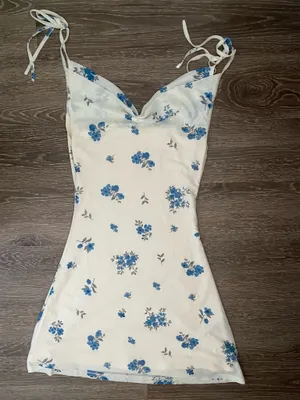 Cider Floral Mesh V-neck Mini dress thumbnail 2