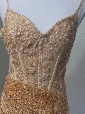 #15-14 Gold Velvet Bustier sequins embroidered appliqué long dress-Small/Size 4 thumbnail 6