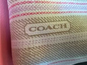 Coach Beige Stripe Wristlet with Pink Accents thumbnail 3