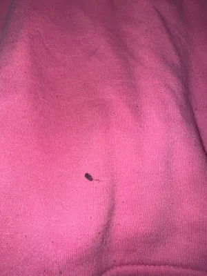 Gap Hoodie Pink thumbnail 2