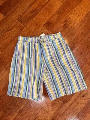 Free People Saylor Poplin Stripe Shorts NWT Size M thumbnail 3
