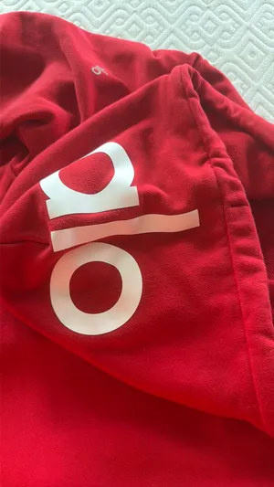 Alo Yoga Hoodie thumbnail 3