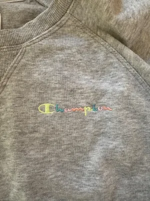 Gray Champion Sweatshirt  thumbnail 3